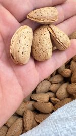 product-image-1743798471-6594